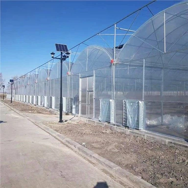 Multi-span Greenhouses